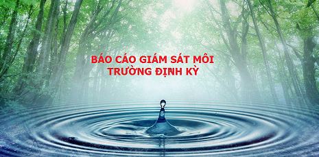 Báo cáo giám sát môi trường